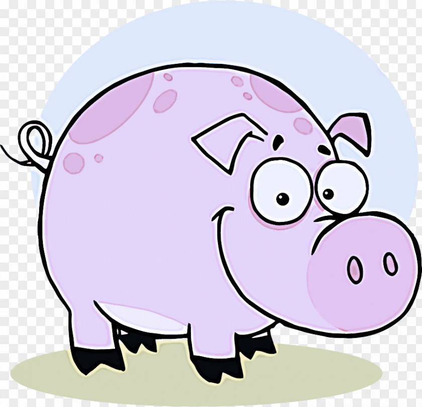 Livestock Suidae Cartoon Clip Art Snout Pink PNG