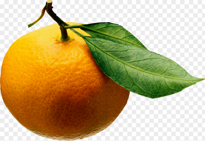 Orange Fruit Juice Tangerine Mandarin Clementine Salad PNG