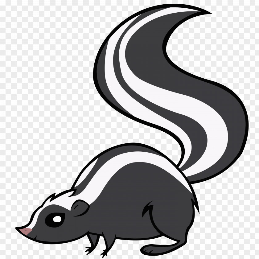 Skunk Clipart Clip Art PNG