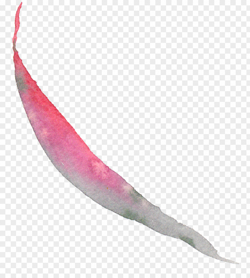Autumn Leaves Watercolor Pink M Fish PNG