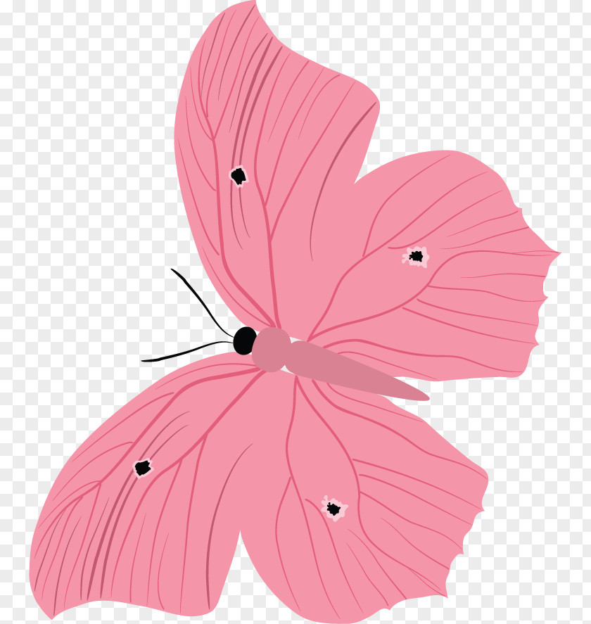 Butterfly Petal Malvales PNG