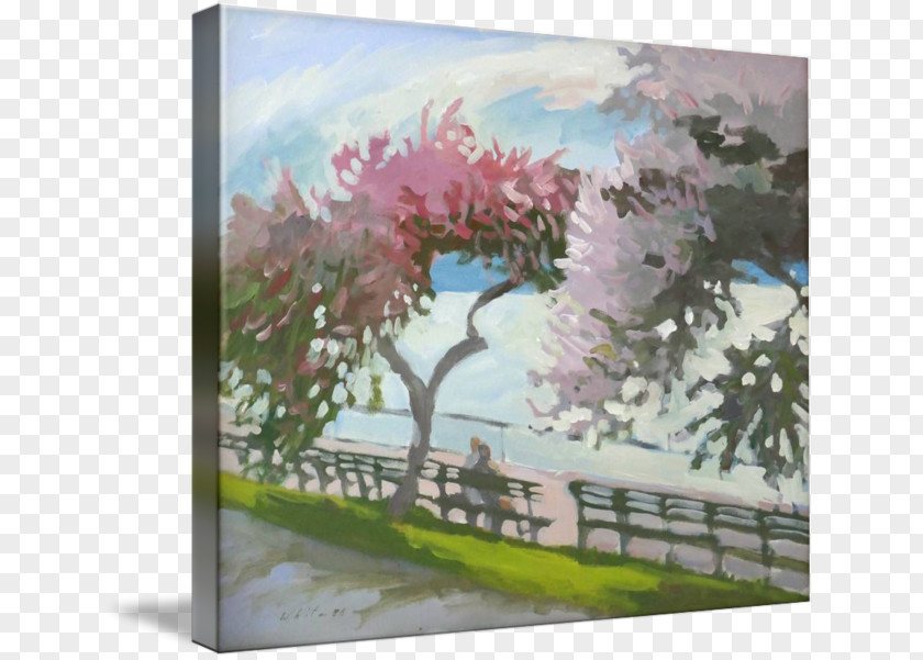 Cherry Blossom Watercolor Painting Acrylic Paint PNG