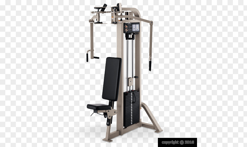 Fitness Coach Machine Fly Rear Delt Raise Weight Training Strength PNG