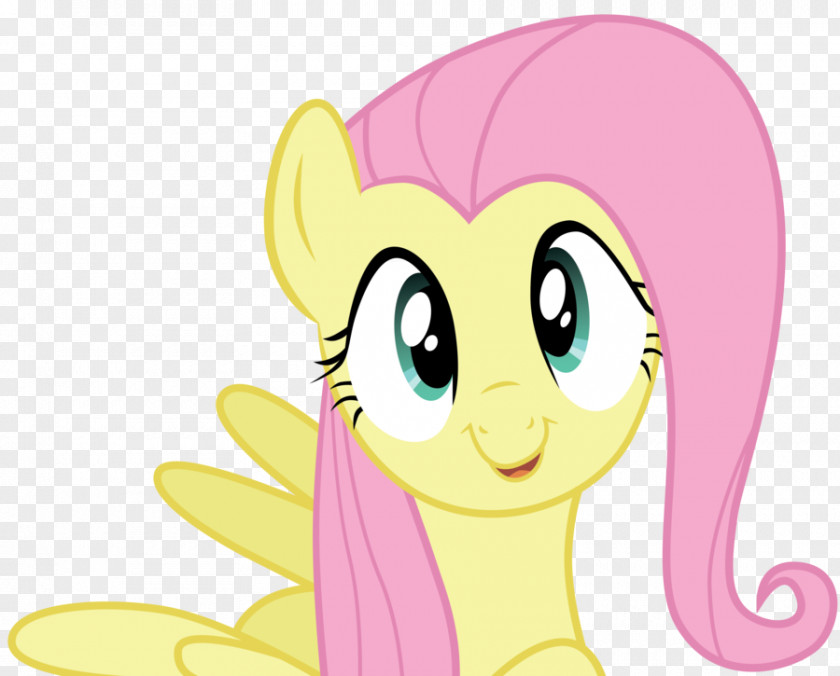 My Little Pony Fluttershy Rarity Twilight Sparkle Rainbow Dash PNG