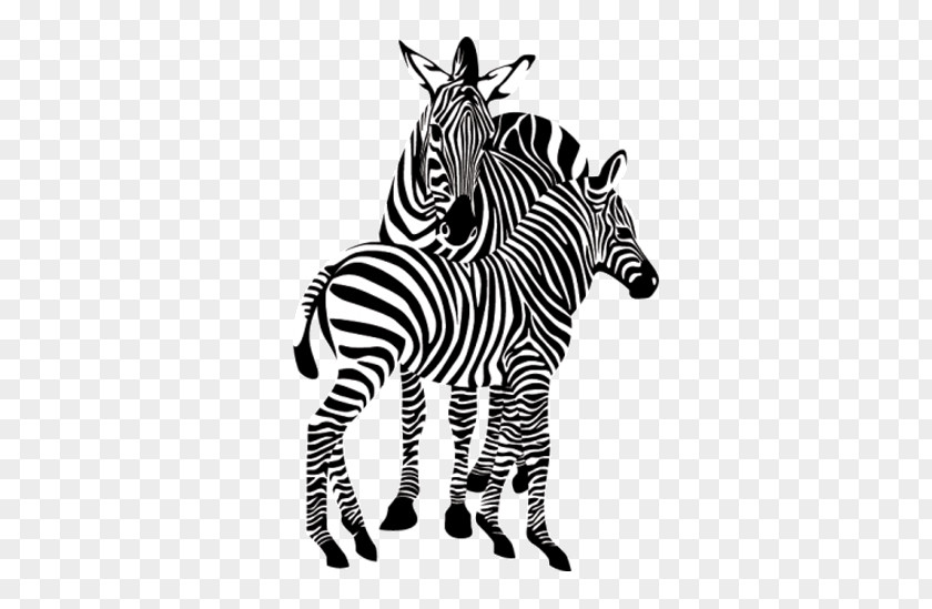 Zebra De Grevy Image Illustration Animal PNG