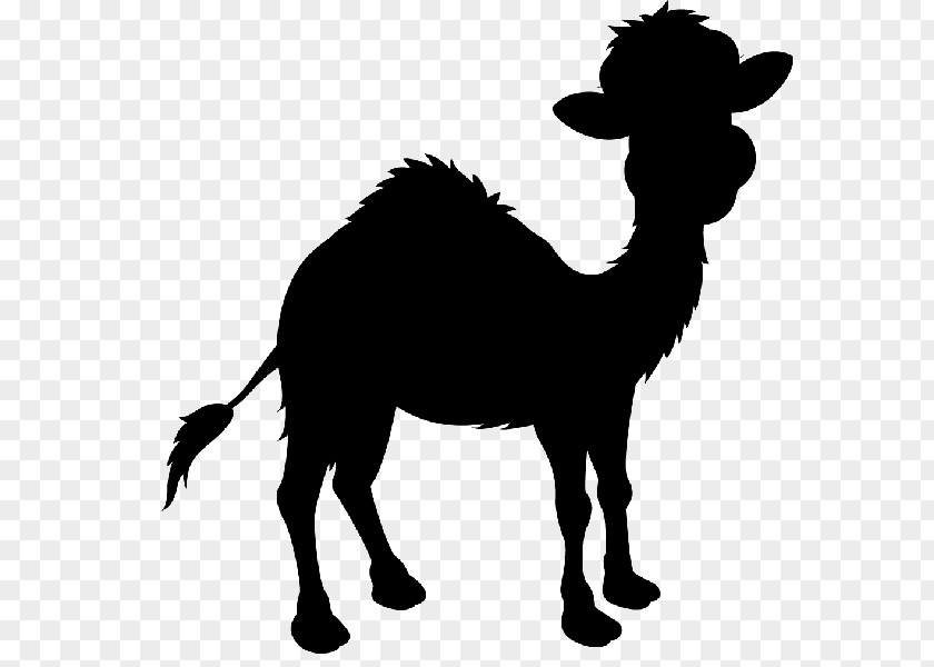 Camel Mustang Clip Art Silhouette Black PNG
