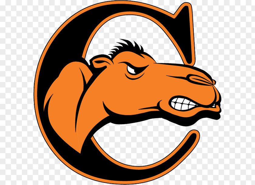 Campbell University Fighting Camels Men's Basketball Women's Football Division I (NCAA) PNG