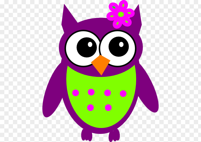 Owl Bird Clip Art PNG