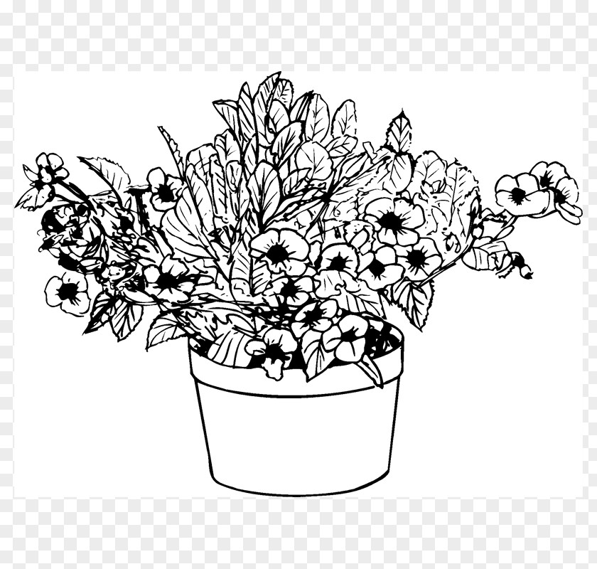 Pelargonium Floral Design Drawing /m/02csf Cut Flowers Monochrome PNG