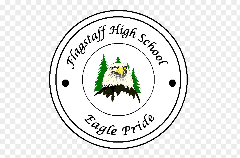 Seagull Ports Flagstaff High School 7000 Feet Of Sound Logo American Football Beak PNG