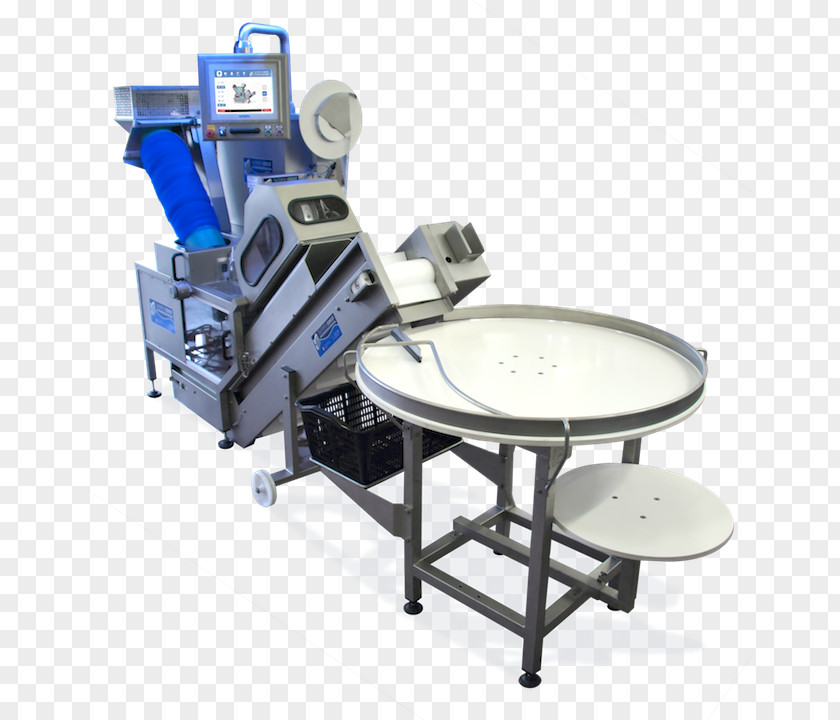Trace Cocci Luciano Srl Confezionatrice Packaging And Labeling Machine Plastic PNG