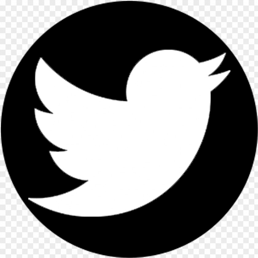 Twitter Logo PNG