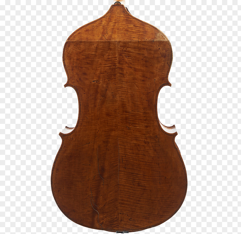 Violin Violone Double Bass Cello Viola PNG