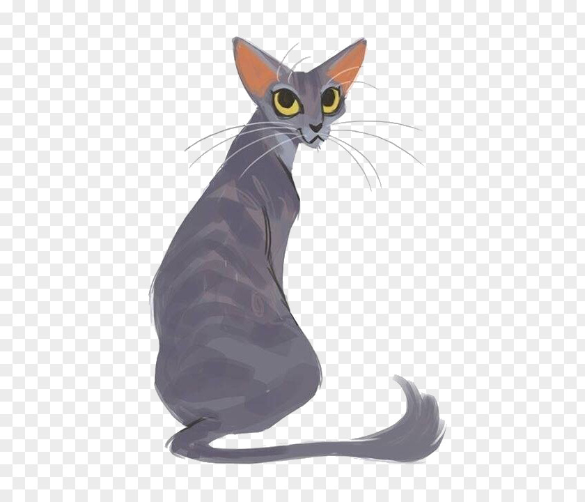 Cartoon Gray Kitten Oriental Shorthair Abyssinian Egyptian Mau Siamese Cat PNG