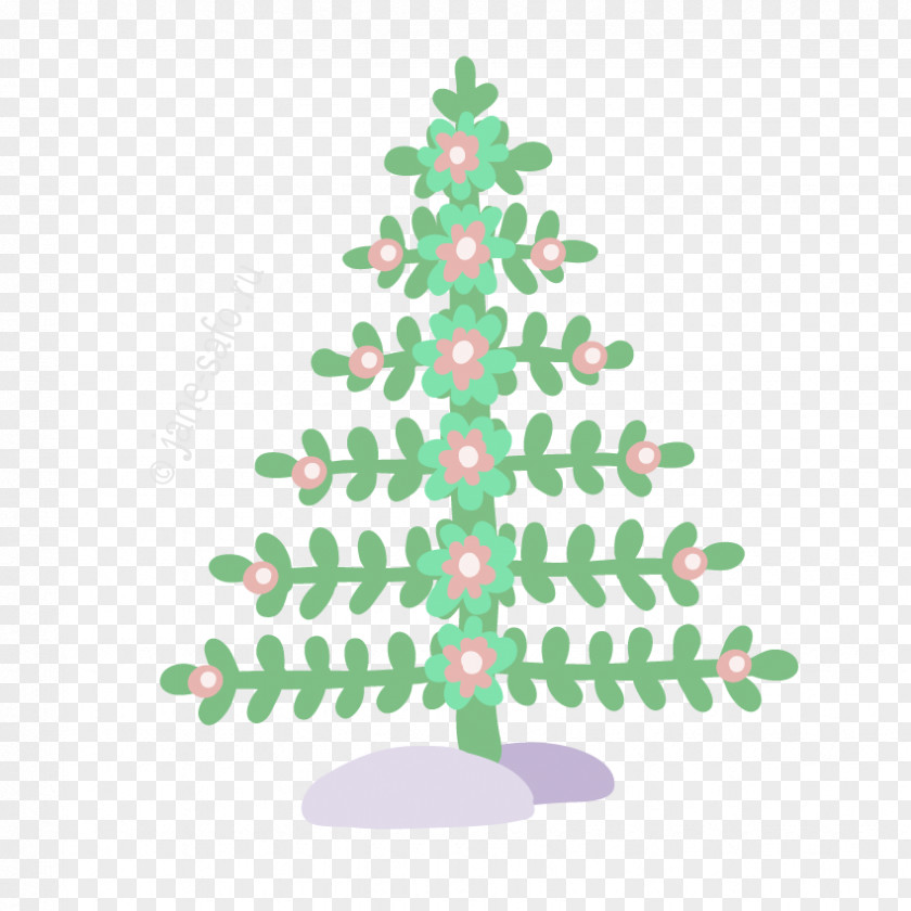 Christmas Tree Flower Spruce PNG