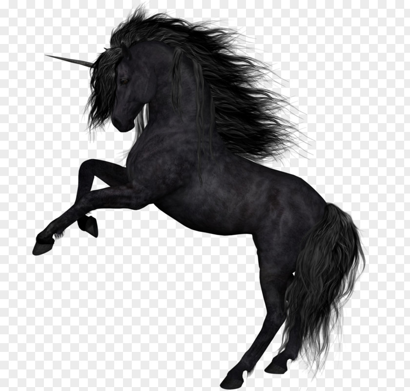 Horse Unicorn Photography Clip Art PNG