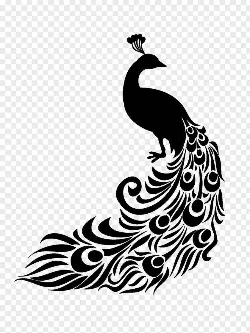Peafowl Clip Art Stencil Image PNG