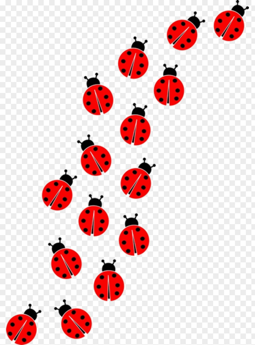 88 Ladybird Desktop Wallpaper Clip Art PNG