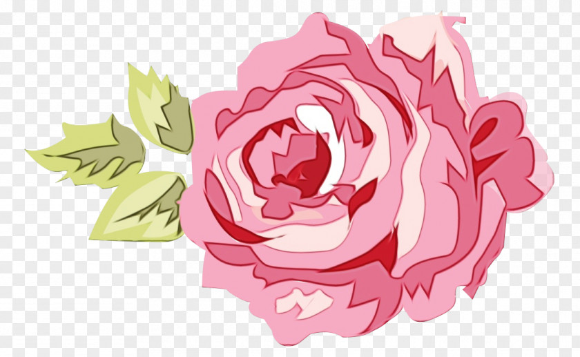 Camellia Peony Drawing Of Family PNG