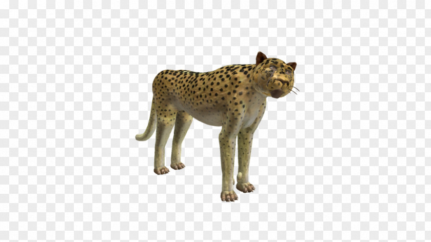 Cheetah Big Cat Terrestrial Animal Puma PNG