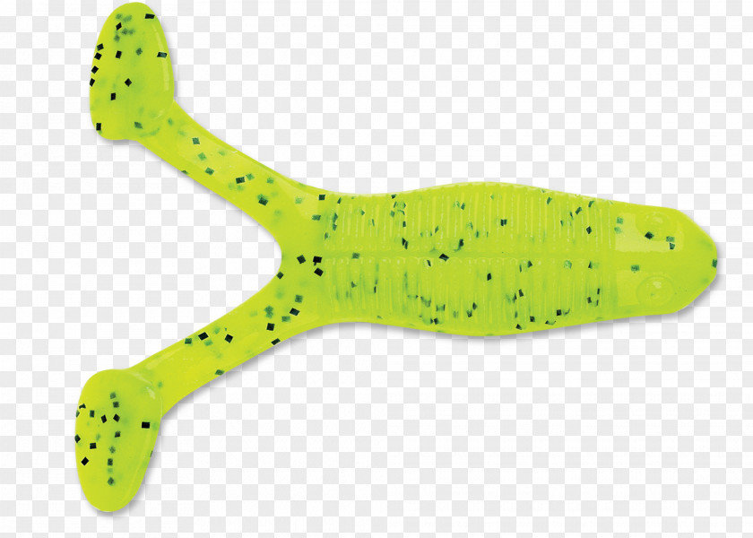 Design Amphibians PNG