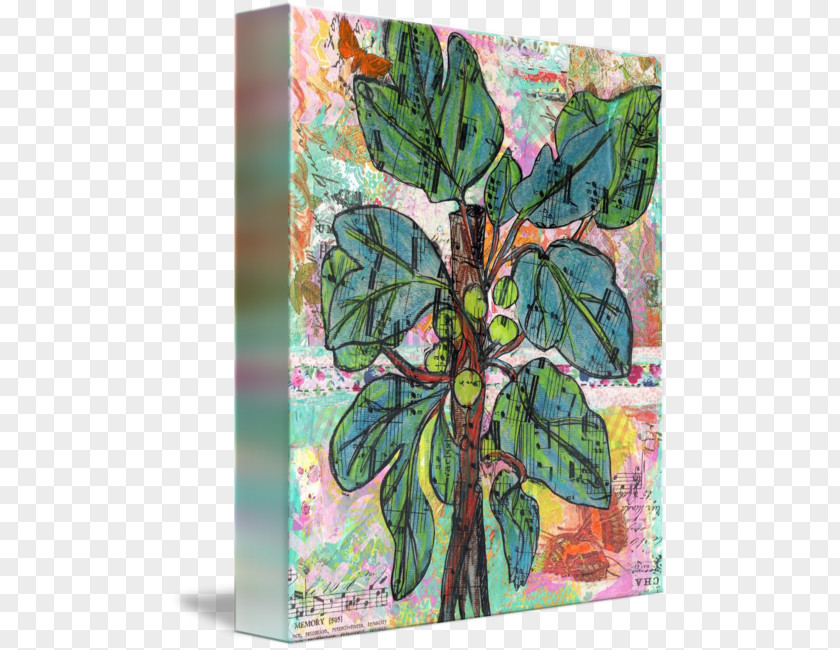 Fig Tree Leaf PNG