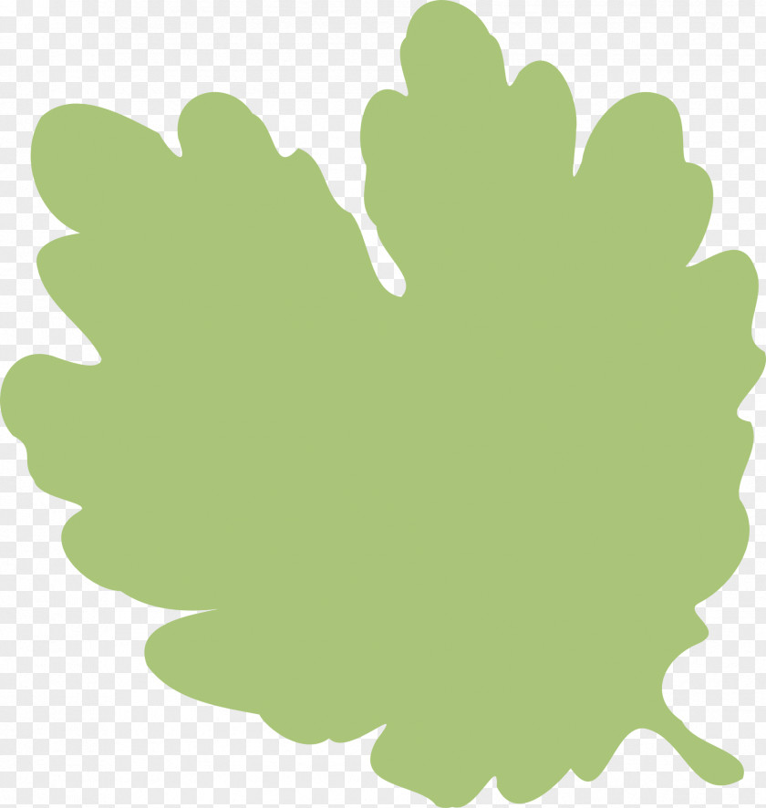 Greenery Leaf Shape Clip Art PNG