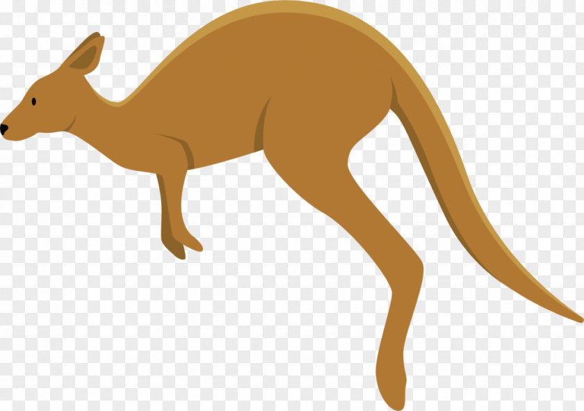 Kangaroo Macropodidae Dingo Koala Clip Art PNG