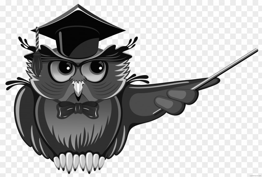 Owl Teacher Education School Clip Art PNG