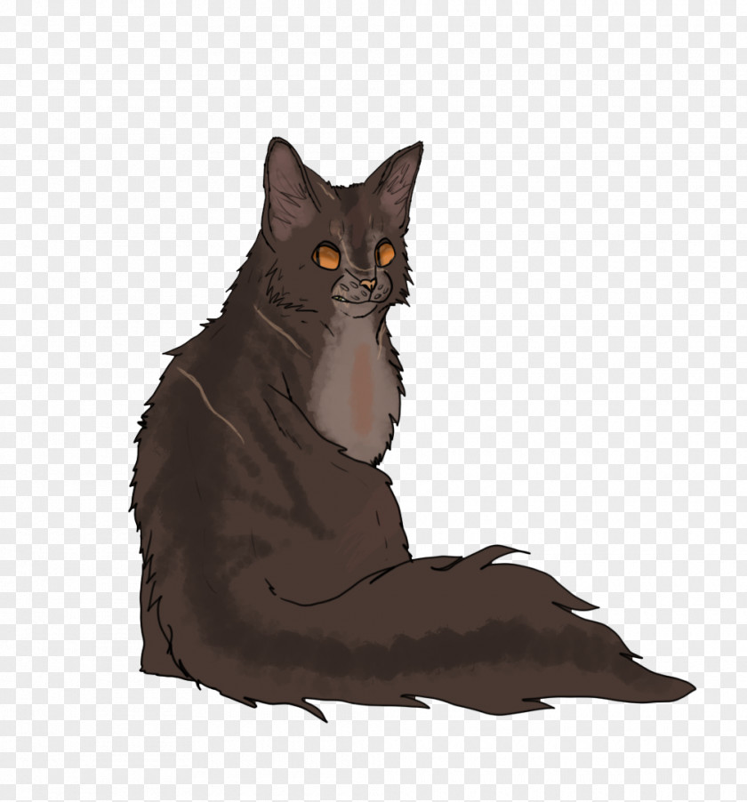 Ragged Raggedstar Into The Wild Black Cat Maine Coon Brokenstar PNG