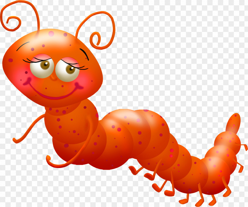 Worm Insect Drawing Clip Art PNG