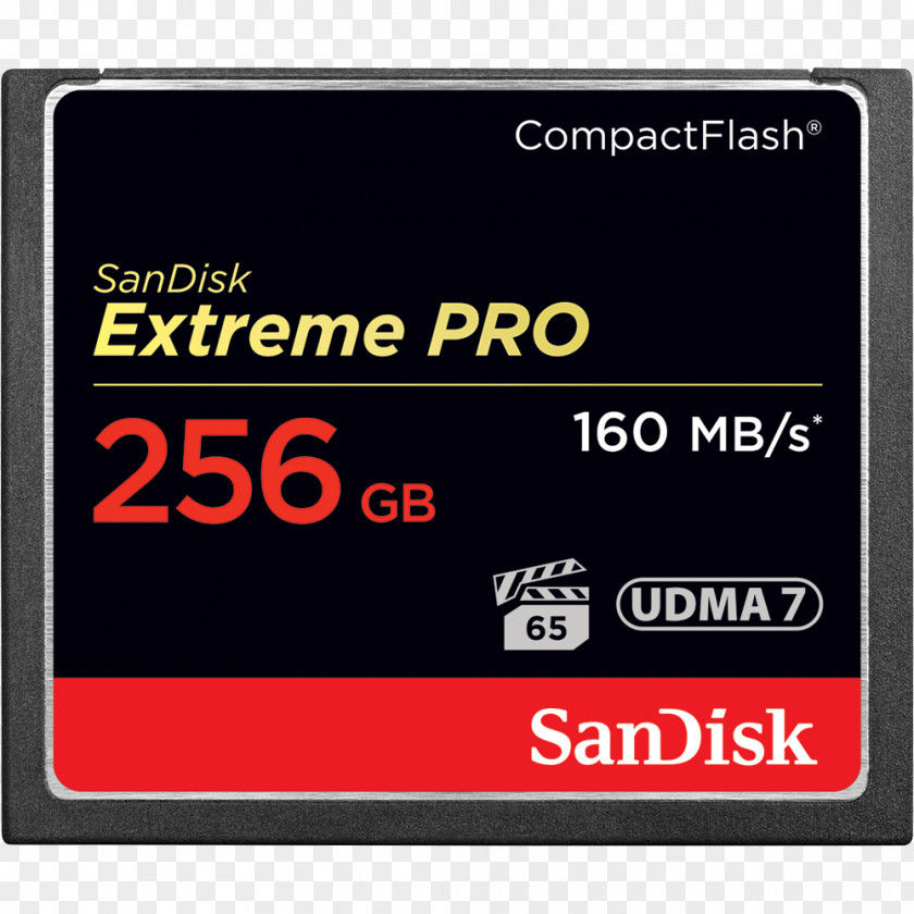 CompactFlash Flash Memory Cards SanDisk Computer Data Storage Secure Digital PNG