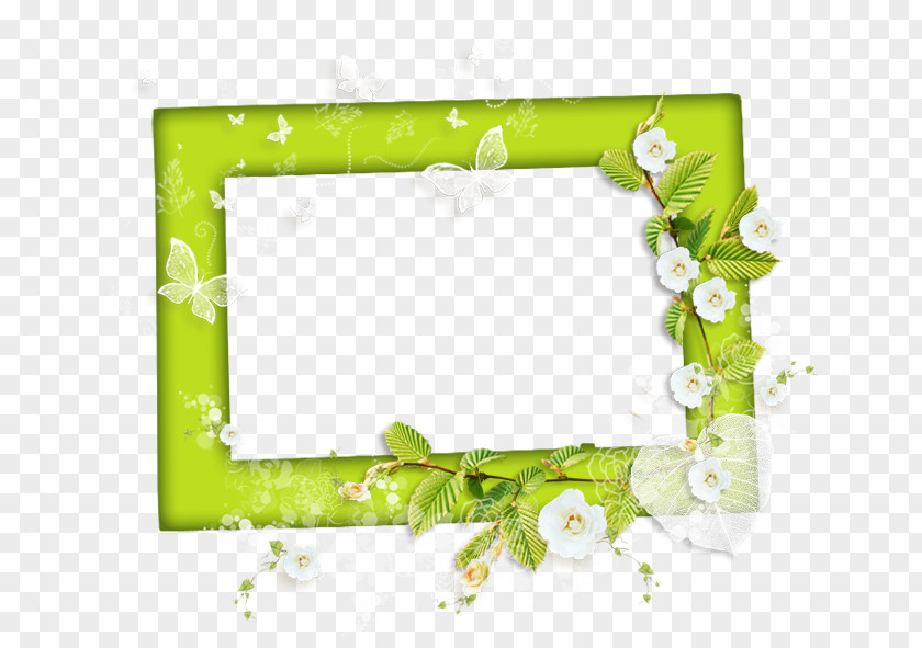 Green Frame Picture Film Photography Ornament PNG