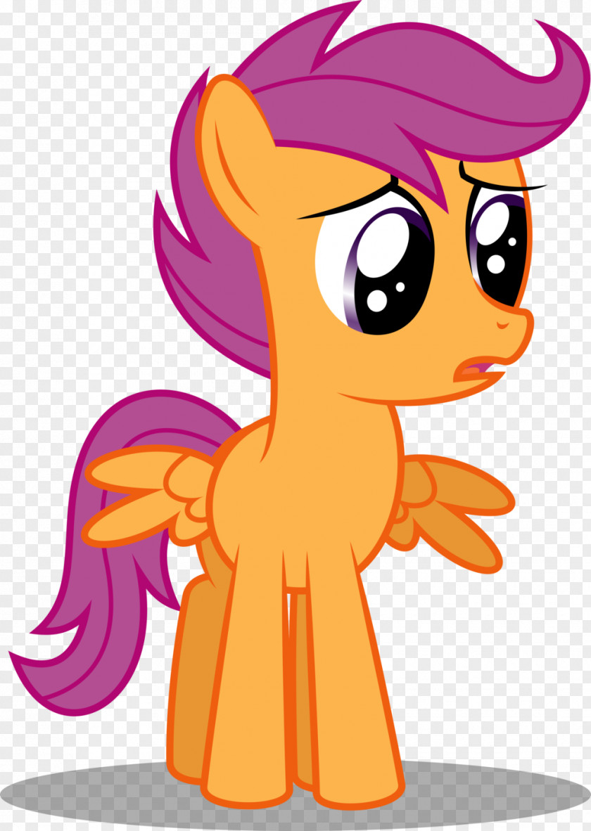 Little Owl Pony Scootaloo Babs Seed The Cutie Mark Chronicles Crusaders PNG