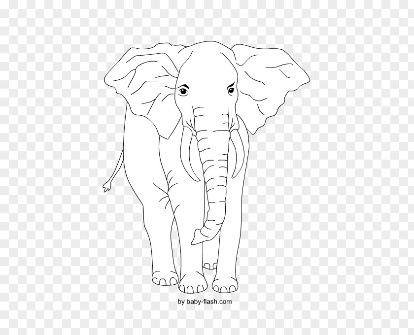 Mandala African Elephant Indian Line Art Black And White PNG