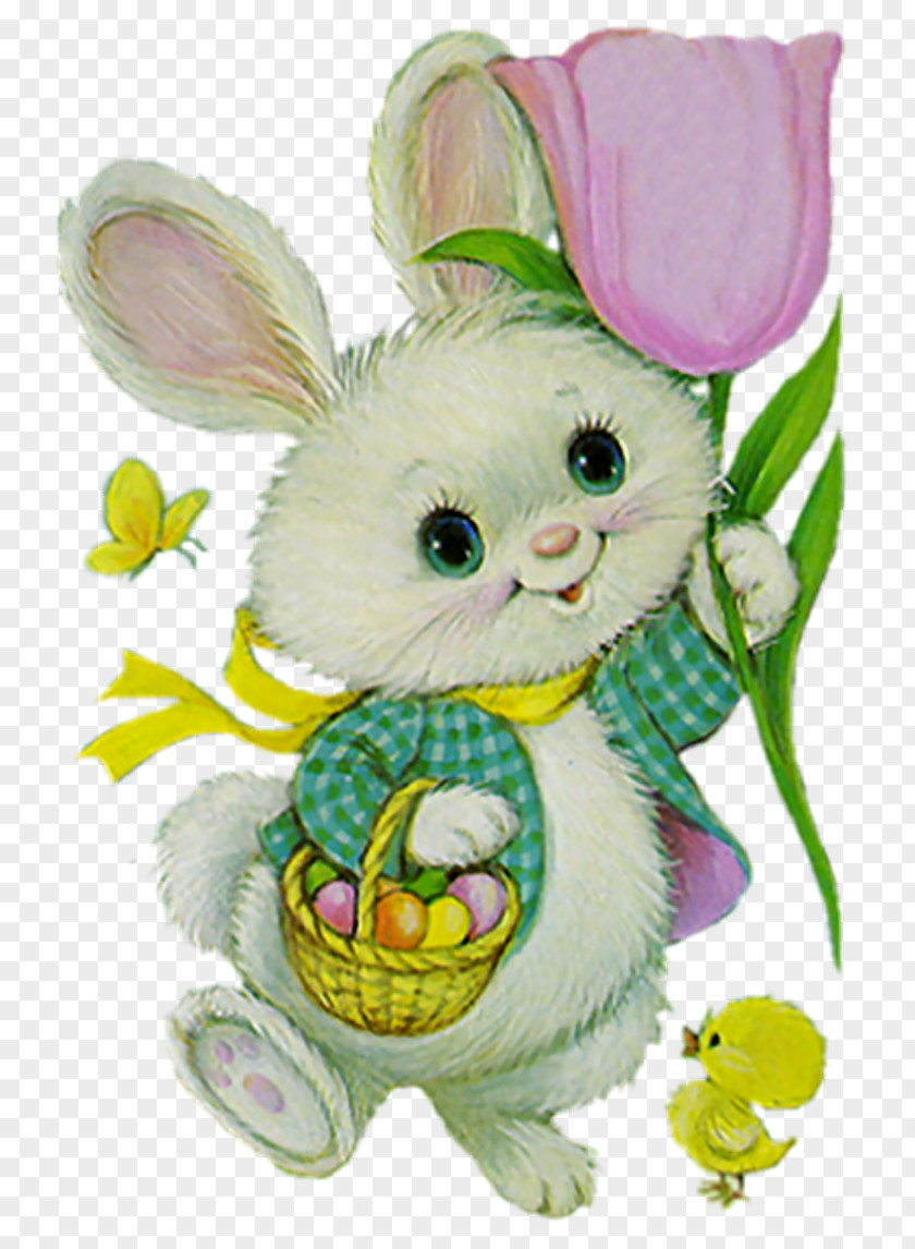 Rabbit Easter Bunny Whiskers Hare Egg PNG