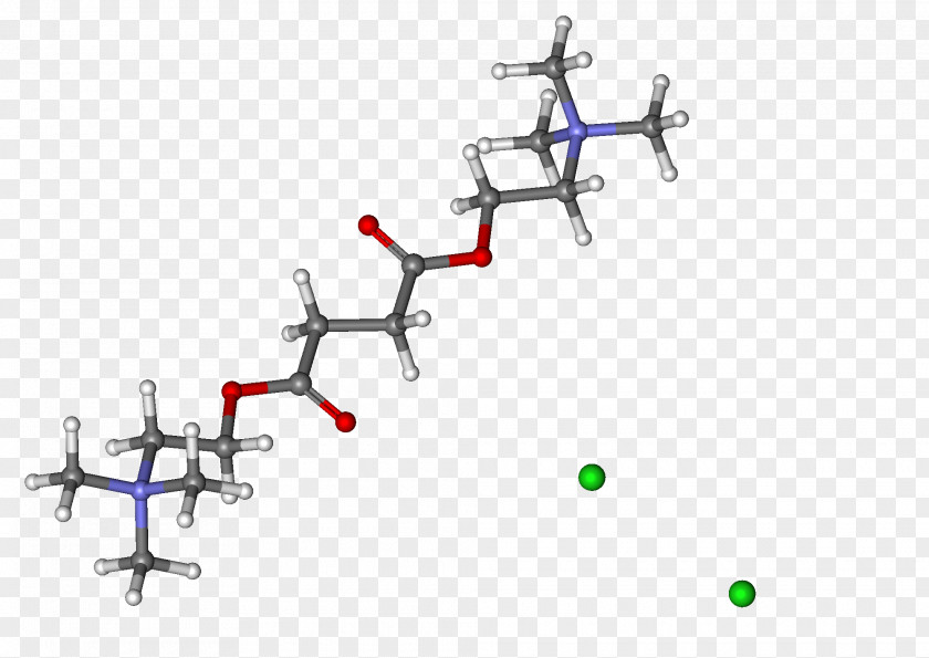 Suxamethonium Chloride Tubocurarine Alcuronium Neuromuscular-blocking Drug PNG