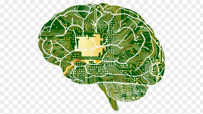 Artificial Intelligence Deep Learning Research Human Brain Murach's Java Programming PNG