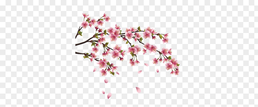 Cherry Blossom Wall Decal Branch PNG
