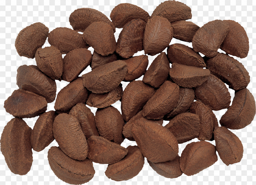 Chocolate Brazil Nut Nutcracker Hazelnut Pecan PNG
