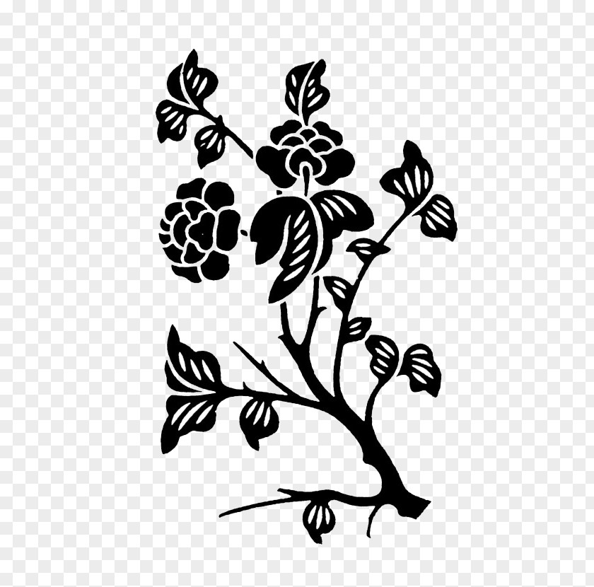 Hand Drawn Rose Black And White Drawing Illustration PNG