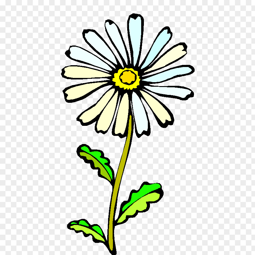 Pressed Flower Coloring Book Drawing Mouse Mats Computer PNG