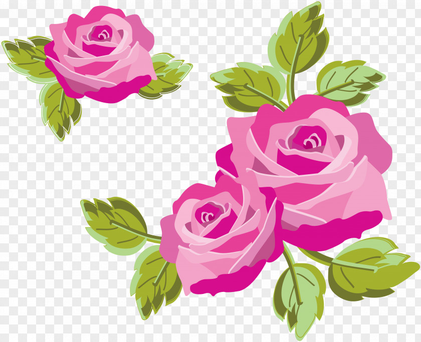 Rose Still Life: Pink Roses Flower PNG