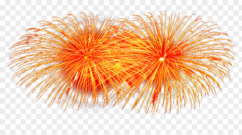 Two Orange Fireworks Citrus Xd7 Sinensis Artificier PNG
