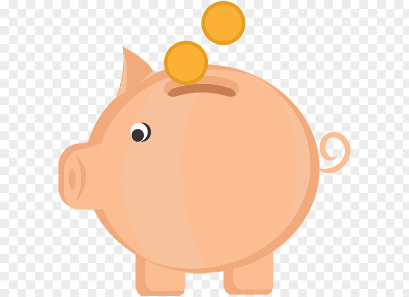 Bank Snout Piggy PNG