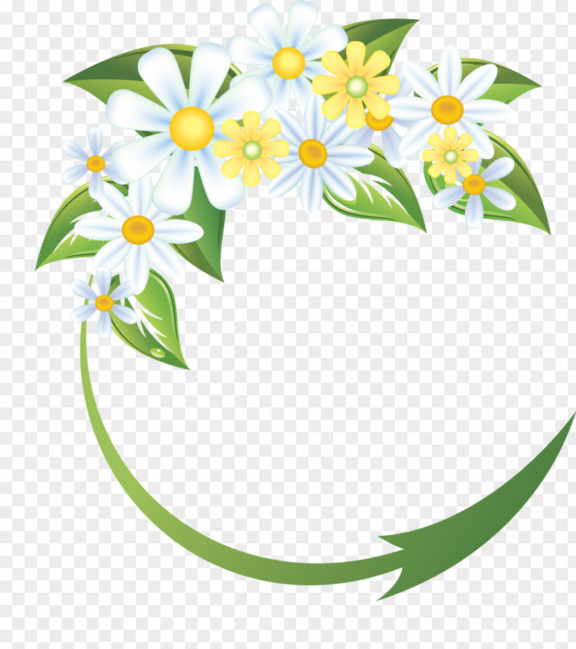 Camomile Flower Clip Art PNG