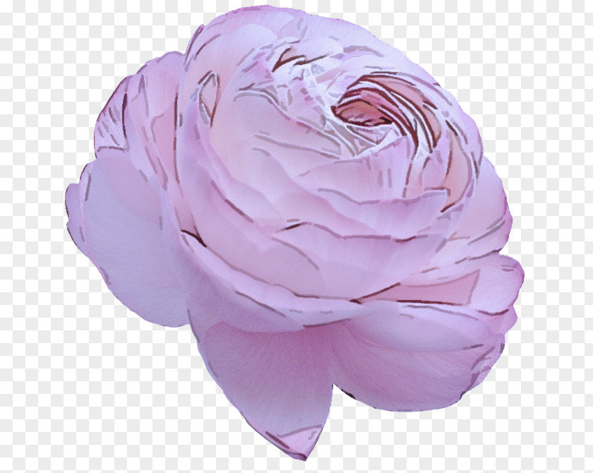 Headgear Scarf Lavender PNG