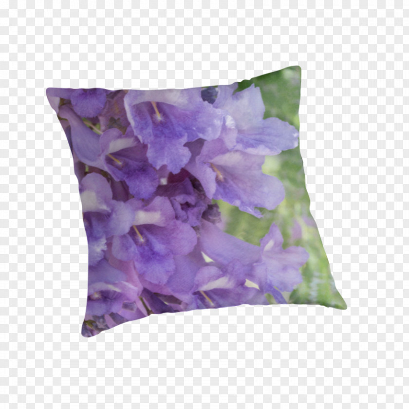 Pillow Throw Pillows Cushion PNG