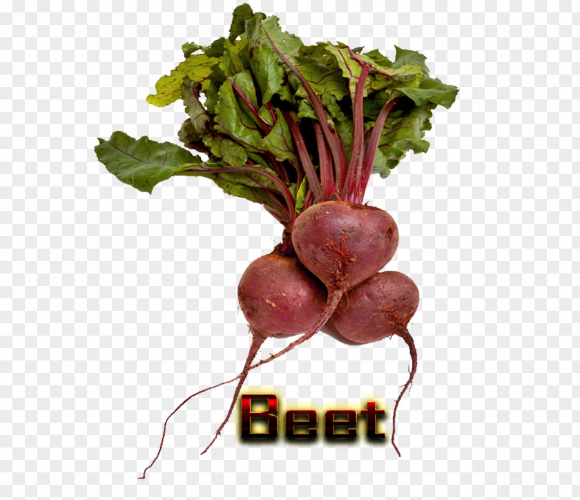 Vegetable Vegetarian Cuisine Organic Food Chard Sugar Beet Beetroot PNG