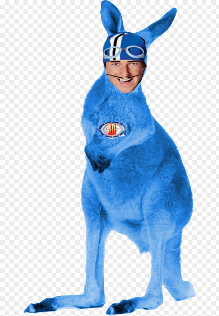 Blue Kangaroo Red Domestic Rabbit Koala PNG